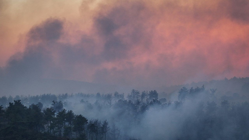 Gelibolu’da orman yangını - Resim: 26