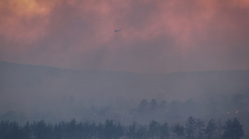 Gelibolu’da orman yangını - Resim: 27