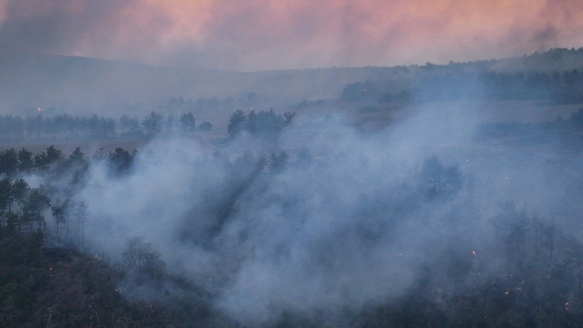 Gelibolu’da orman yangını - Resim: 28