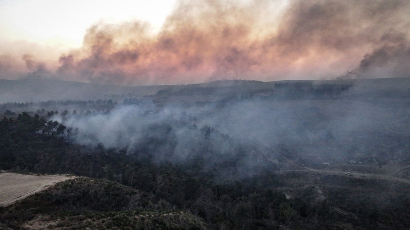 Gelibolu’da orman yangını - Resim: 29