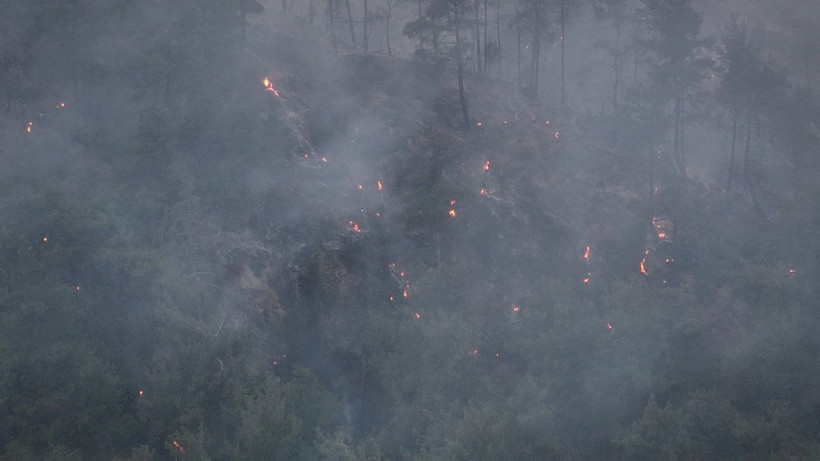 Gelibolu’da orman yangını - Resim: 31