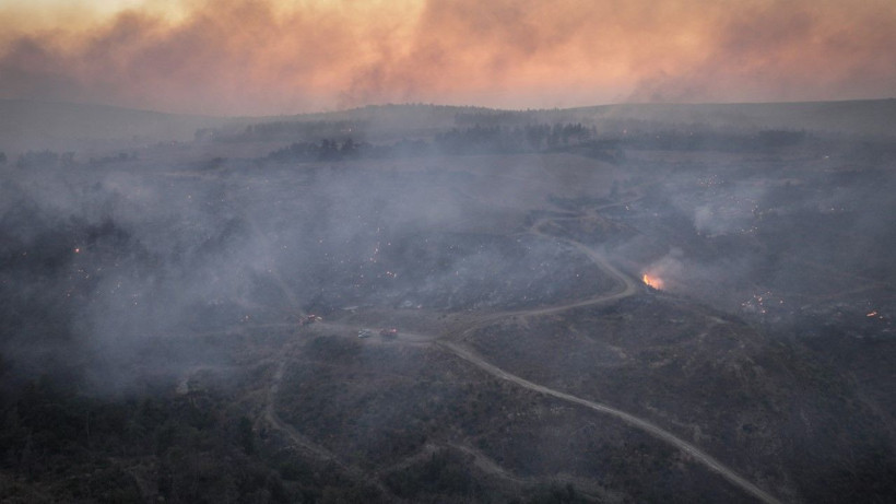 Gelibolu’da orman yangını - Resim: 32