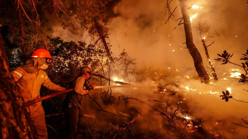 Gelibolu’da orman yangını - Resim: 13