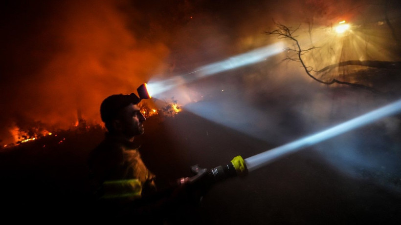 Gelibolu’da orman yangını - Resim: 12