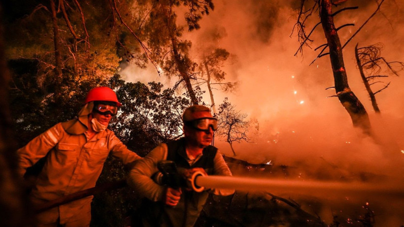 Gelibolu’da orman yangını - Resim: 11