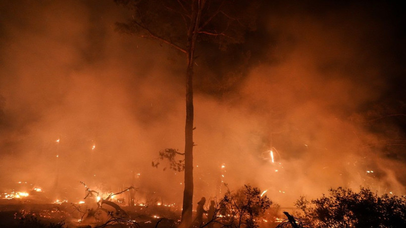 Gelibolu’da orman yangını - Resim: 10