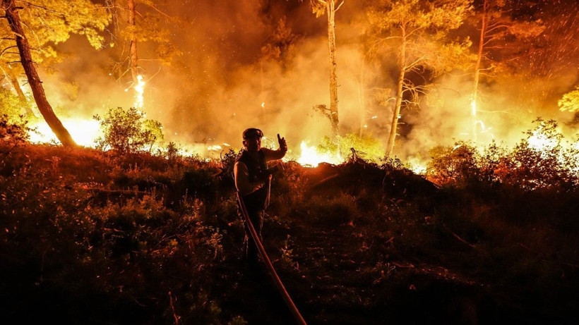 Gelibolu’da orman yangını - Resim: 9