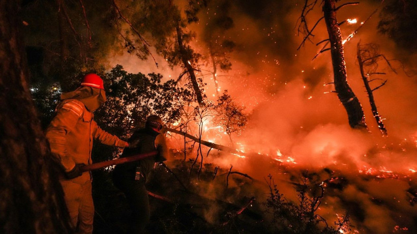Gelibolu’da orman yangını - Resim: 8