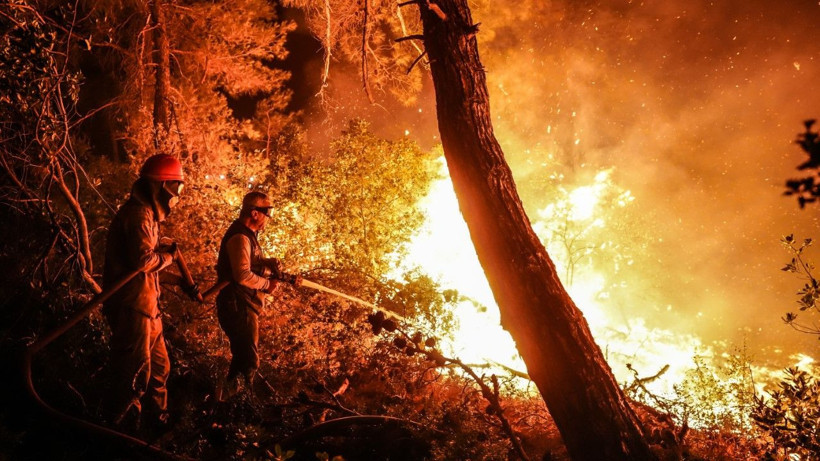Gelibolu’da orman yangını - Resim: 7