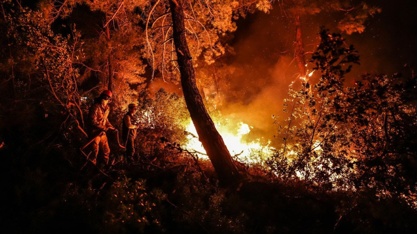 Gelibolu’da orman yangını - Resim: 6