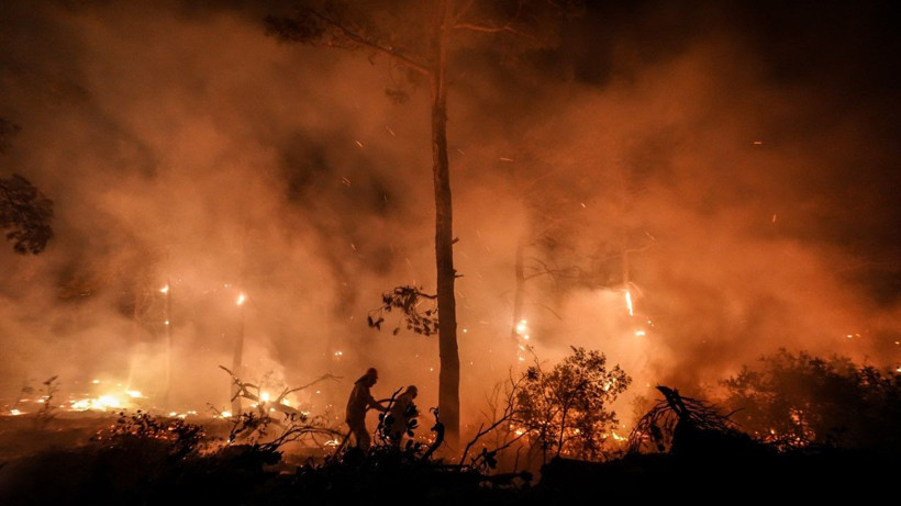 Gelibolu’da orman yangını - Resim: 5