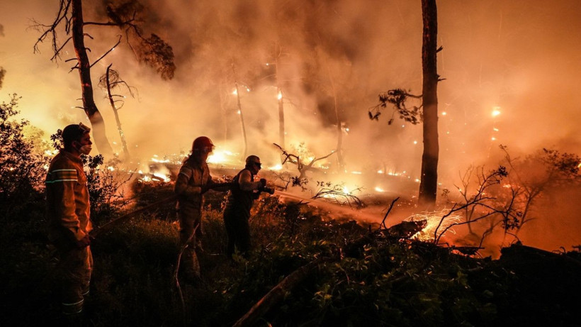 Gelibolu’da orman yangını - Resim: 4