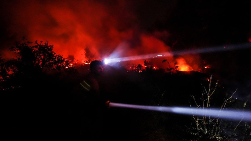 Gelibolu’da orman yangını - Resim: 2