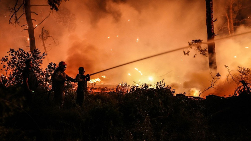 Gelibolu’da orman yangını - Resim: 1
