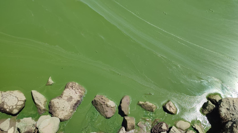 Baraj suyu çekildi, eski yerleşim yerleri ortaya çıktı - Resim: 6