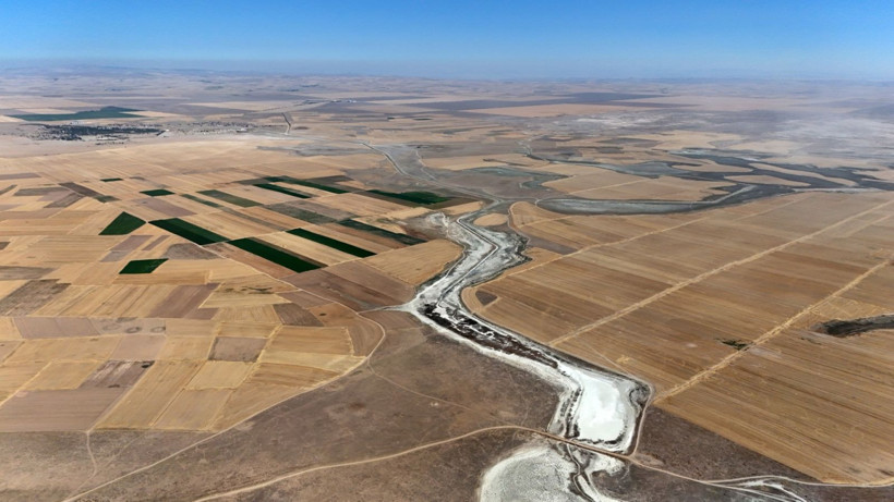 Flamingo cennetinde hayat bitti - Resim: 1