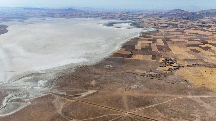 Flamingo cennetinde hayat bitti - Resim: 5