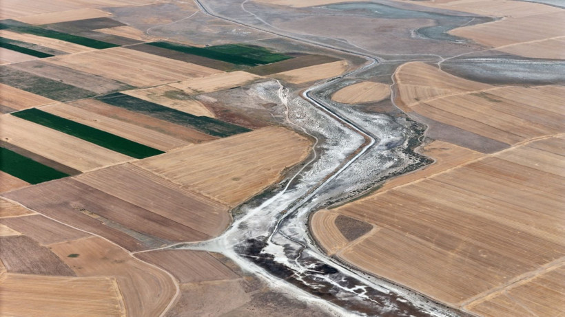 Flamingo cennetinde hayat bitti - Resim: 6