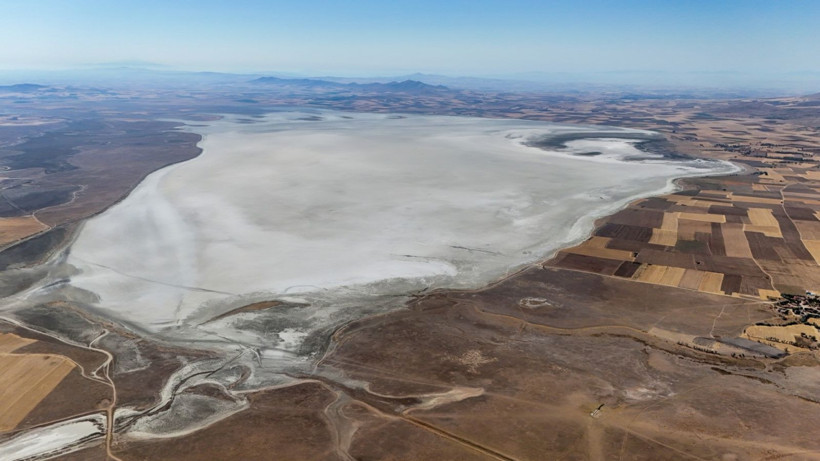 Flamingo cennetinde hayat bitti - Resim: 3