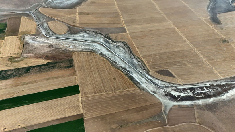 Flamingo cennetinde hayat bitti - Resim: 4