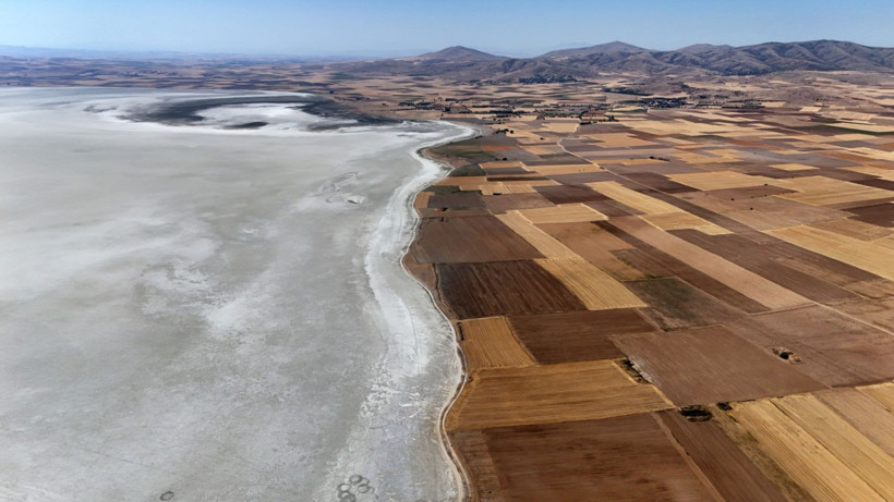 Flamingo cennetinde hayat bitti - Resim: 7