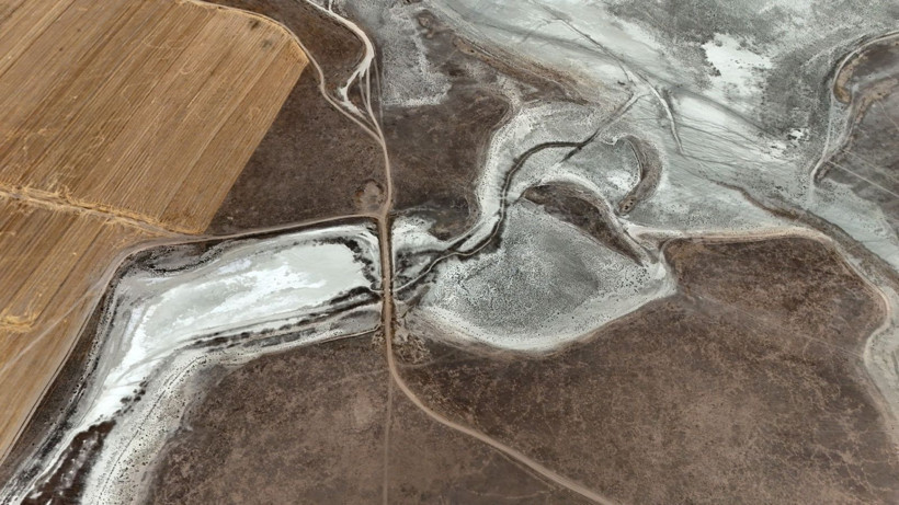 Flamingo cennetinde hayat bitti - Resim: 8