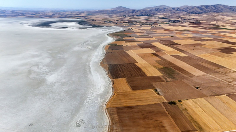 Flamingo cennetinde hayat bitti - Resim: 9