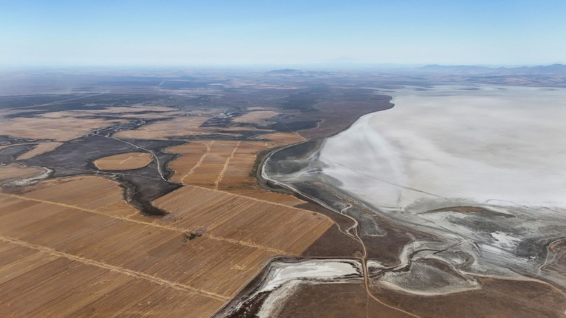 Flamingo cennetinde hayat bitti - Resim: 10