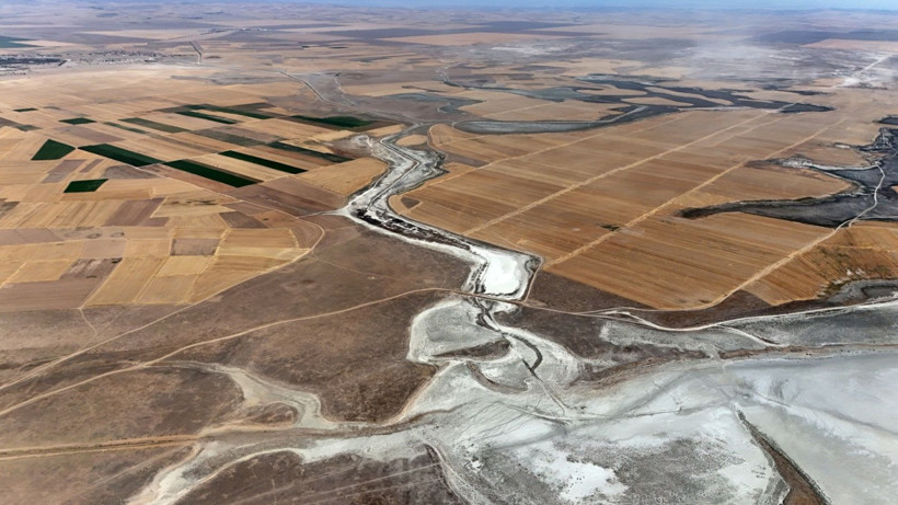 Flamingo cennetinde hayat bitti - Resim: 11