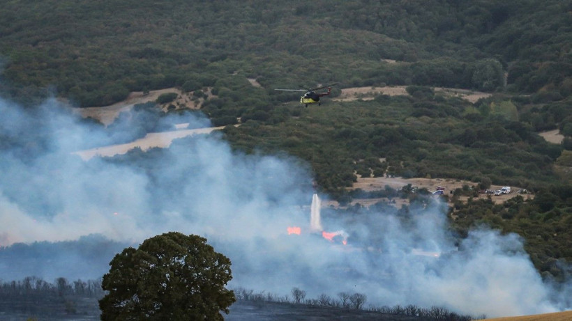 Susurluk’ta orman yangını - Resim: 2