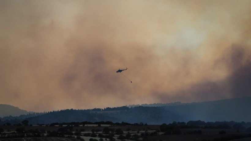 Susurluk’ta orman yangını - Resim: 6