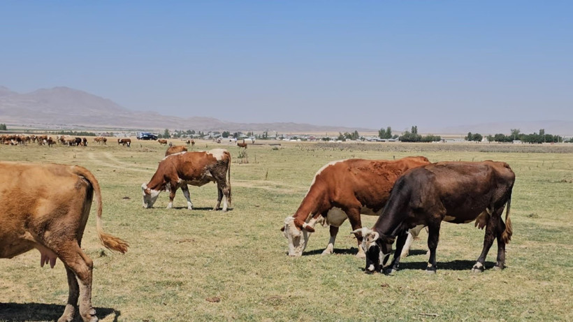 'Cennet' buharlaştı, köylüler havuz yaptı - Resim: 1