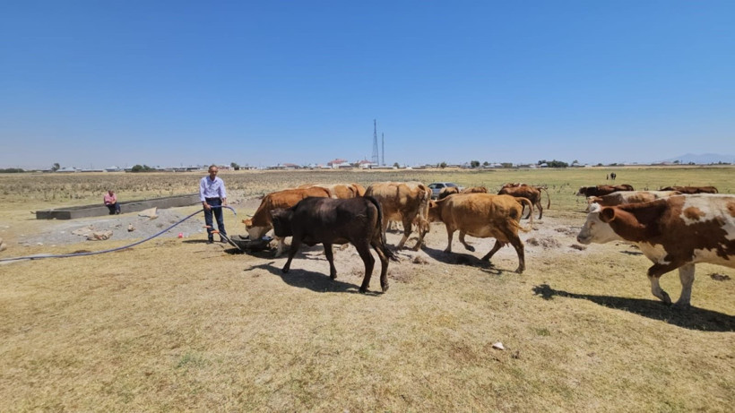 'Cennet' buharlaştı, köylüler havuz yaptı - Resim: 3