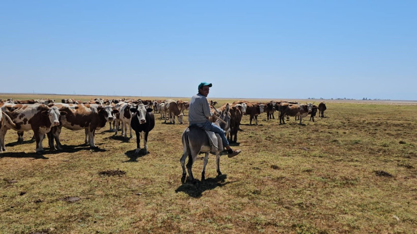 'Cennet' buharlaştı, köylüler havuz yaptı - Resim: 5