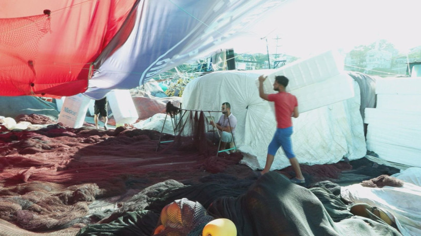 Bu senenin gözdesi hamsi ve palamut - Resim: 1