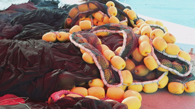 Bu senenin gözdesi hamsi ve palamut - Resim: 2