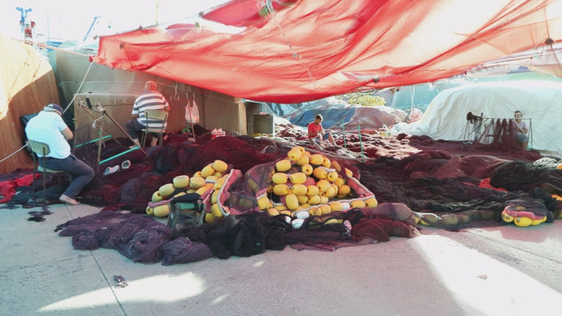 Bu senenin gözdesi hamsi ve palamut - Resim: 3