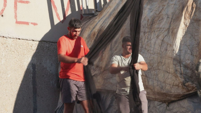 Bu senenin gözdesi hamsi ve palamut - Resim: 5