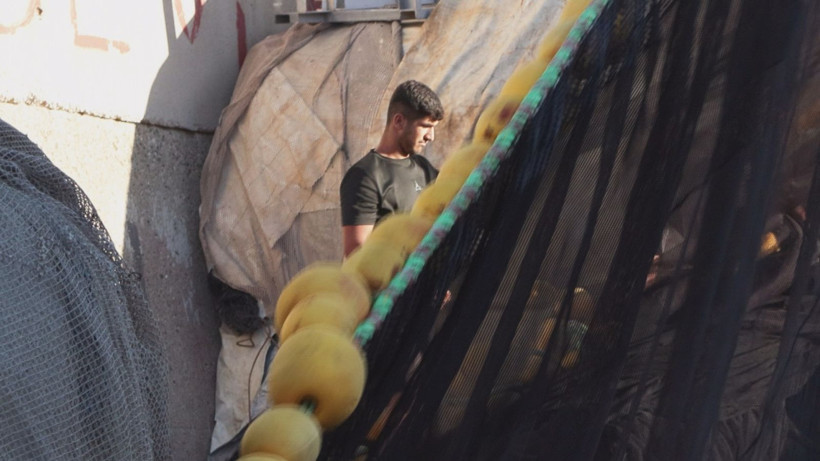 Bu senenin gözdesi hamsi ve palamut - Resim: 6