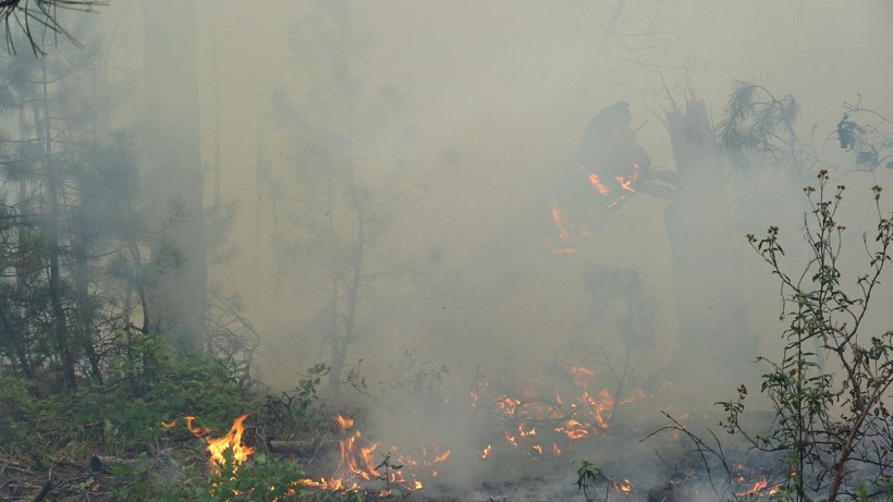 Karabük’te orman yangını - Resim: 2