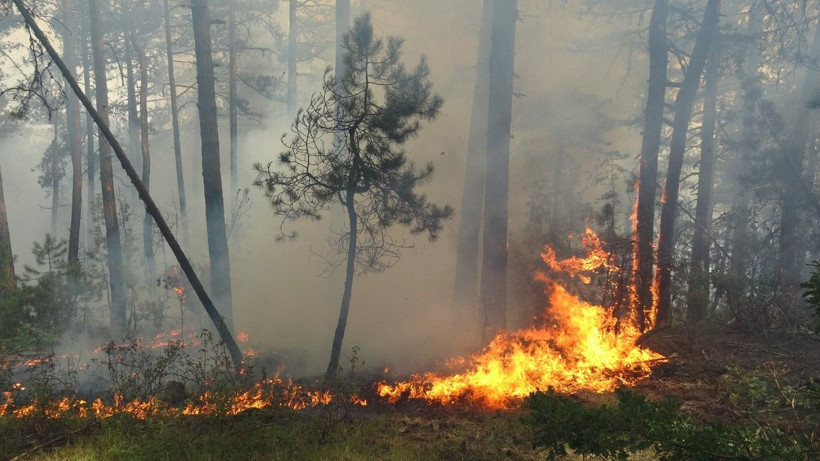 Karabük’te orman yangını - Resim: 3