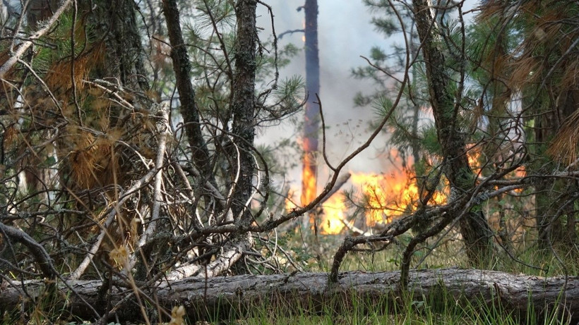Karabük’te orman yangını - Resim: 5