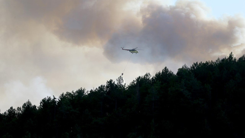 Karabük’te orman yangını - Resim: 9