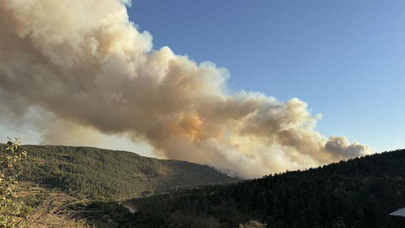 Karabük’te orman yangını - Resim: 10