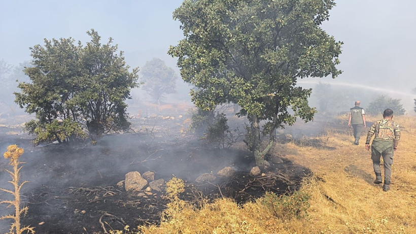 Denizli'de başladı, Aydın'a sıçradı: Üç gündür yanıyor - Resim: 8