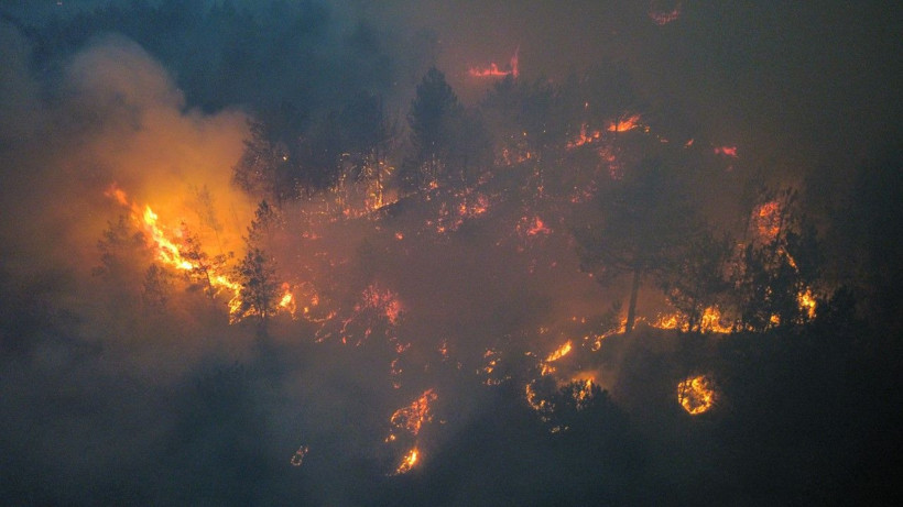 İki il sınırında bir yangın daha: Köyler boşaltıldı - Resim: 11