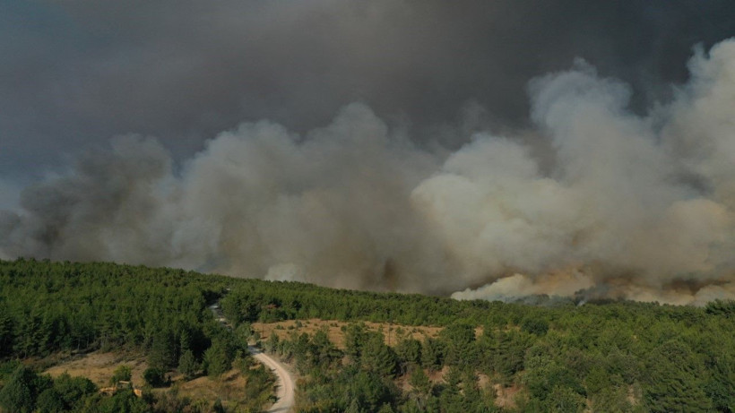 İki ilin ormanları yanıyor: Köyler boşaltıldı - Resim: 3