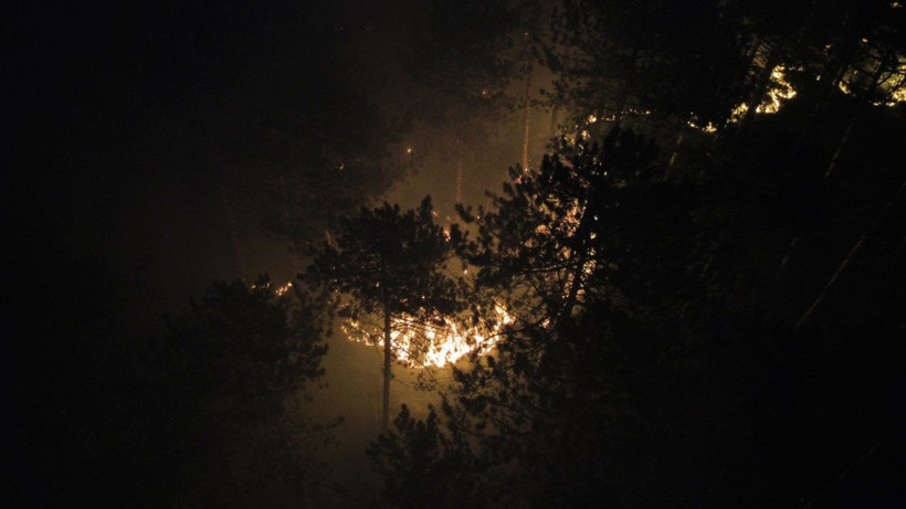 İki ilin ormanları yanıyor: Köyler boşaltıldı - Resim: 13