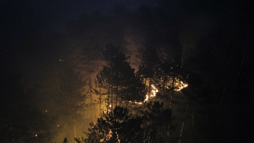 İki ilin ormanları yanıyor: Köyler boşaltıldı - Resim: 14