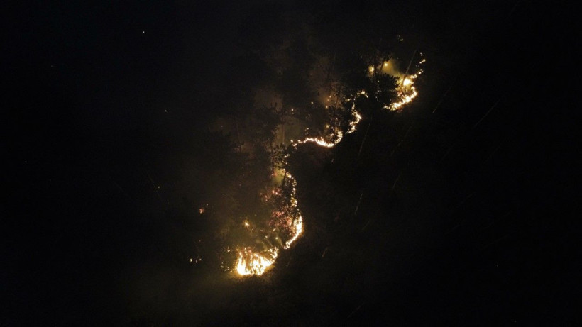 İki ilin ormanları yanıyor: Köyler boşaltıldı - Resim: 15